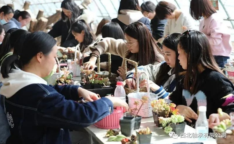 德州jackpot·(中国)集团